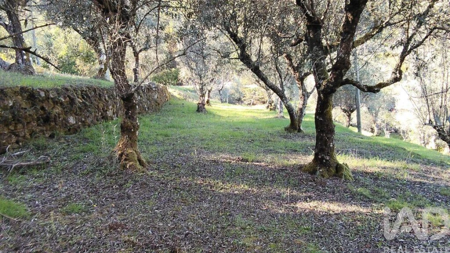 Quinta T4 para Venda em Pedrogão Grande Foto 36