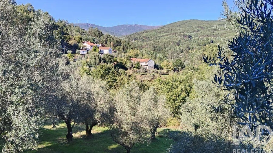 Quinta T4 para Venda em Pedrogão Grande Foto 18