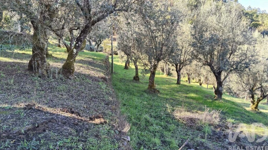 Quinta T4 para Venda em Pedrogão Grande Foto 8