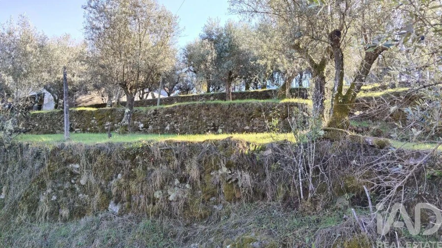 Quinta T4 para Venda em Pedrogão Grande Foto 35