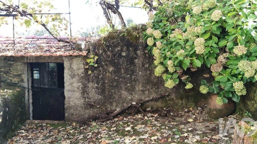 Quinta T4 para Venda em Pedrogão Grande Foto 6