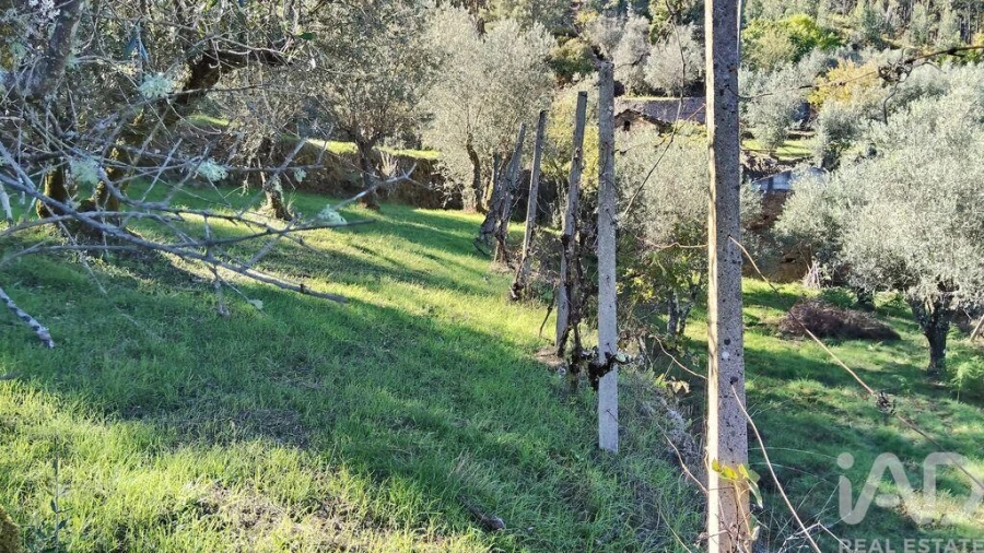 Quinta T4 para Venda em Pedrogão Grande Foto 29