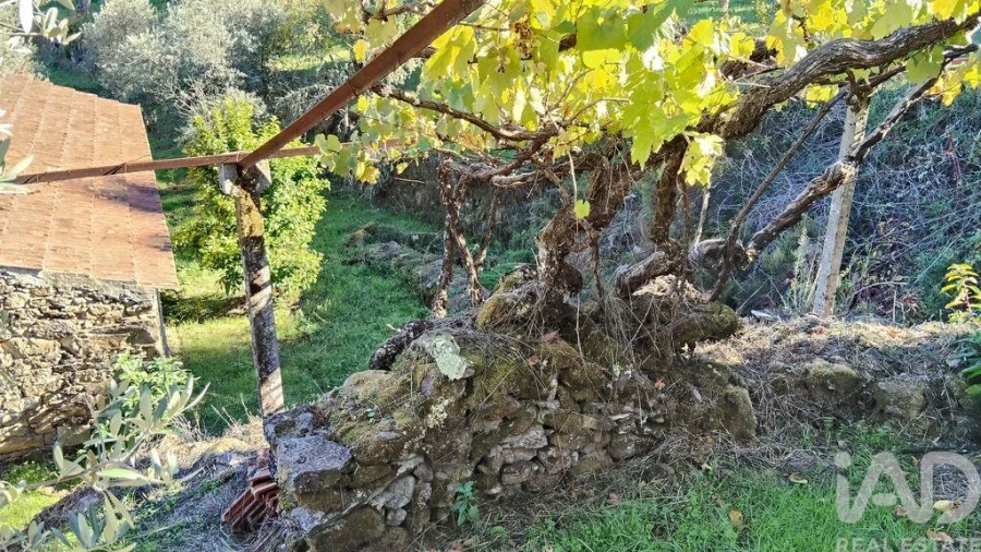 Quinta T4 para Venda em Pedrogão Grande Foto 39