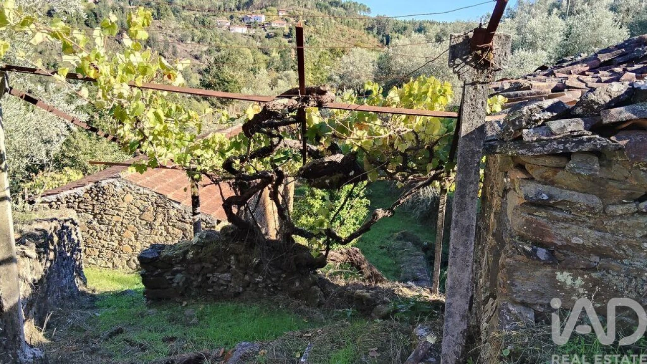 Quinta T4 para Venda em Pedrogão Grande Foto 4