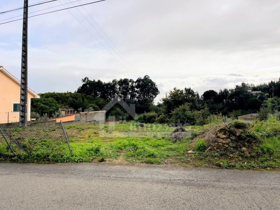 Terreno Agricola ou Rústico para Venda em Figueiró dos Vinhos e Bairradas Foto 2