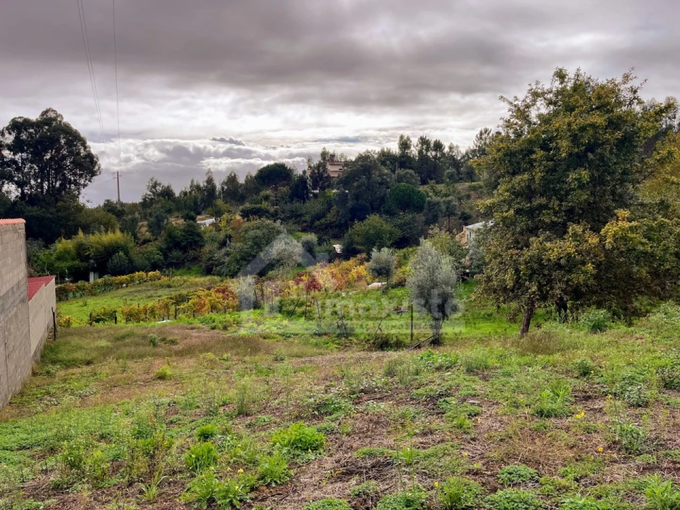 Terreno Agricola ou Rústico para Venda em Figueiró dos Vinhos e Bairradas Foto 4