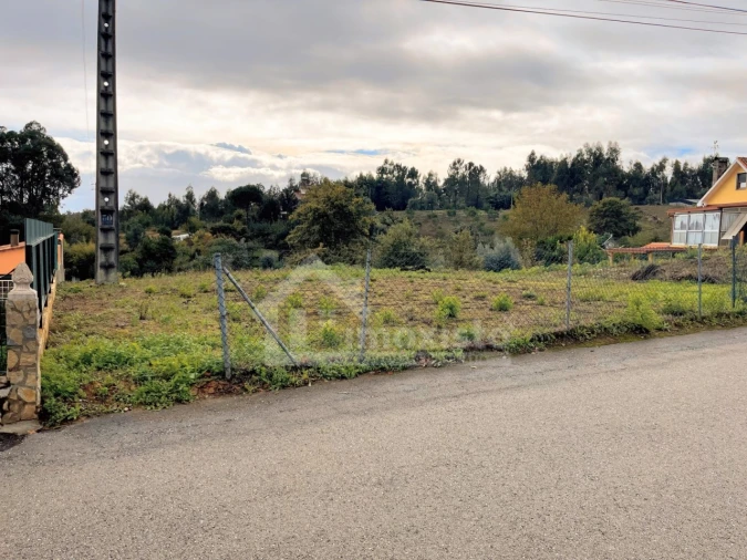 Terreno Agricola ou Rústico para Venda em Figueiró dos Vinhos e Bairradas Foto 1