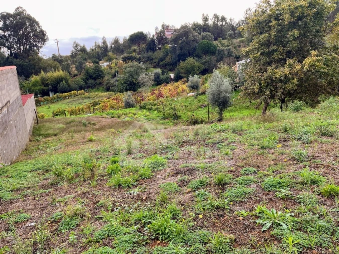 Terreno Agricola ou Rústico para Venda em Figueiró dos Vinhos e Bairradas Foto 3
