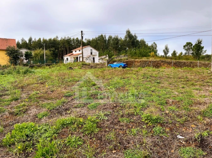 Terreno Agricola ou Rústico para Venda em Figueiró dos Vinhos e Bairradas Foto 6