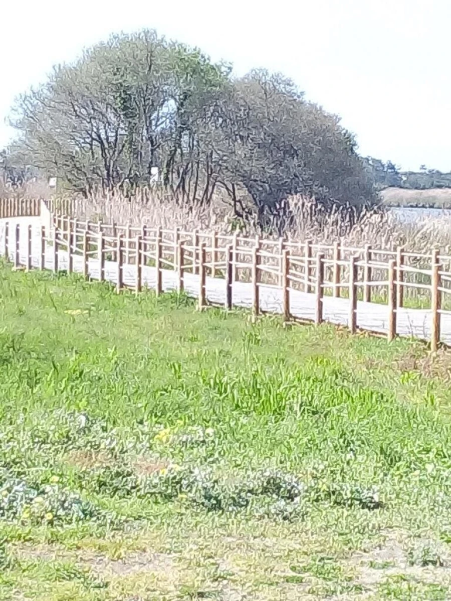 Moradia T3 para Venda em Antas Foto 7