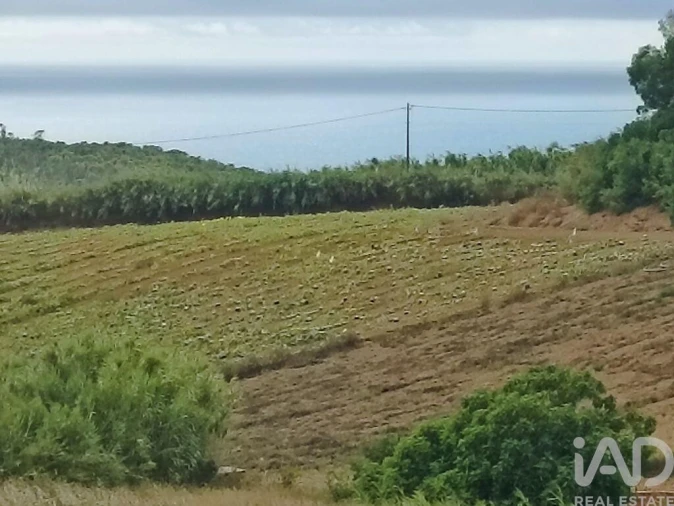 Terreno para Venda em Lourinhã e Atalaia Foto 1