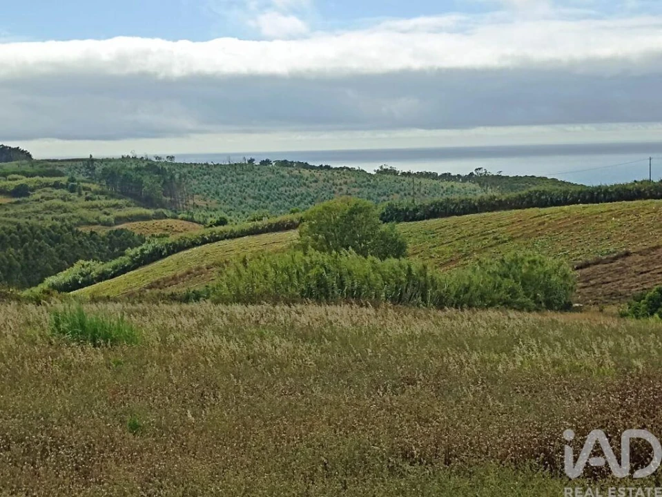 Terreno para Venda em Lourinhã e Atalaia Foto 4