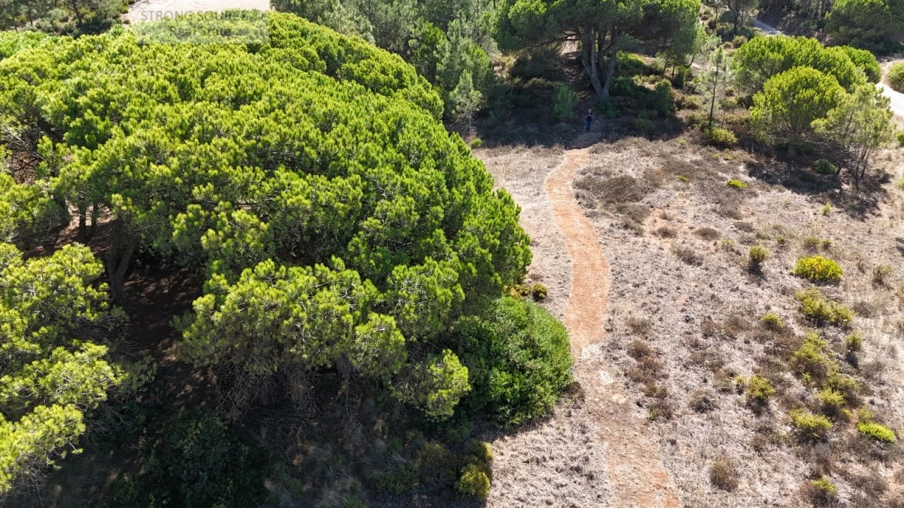 Terreno Misto para Venda em Sesimbra (Castelo) Foto 12
