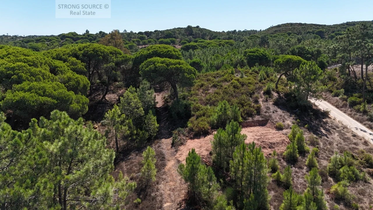 Terreno Misto para Venda em Sesimbra (Castelo) Foto 13