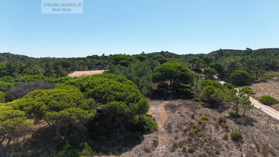 Terreno Misto para Venda em Sesimbra (Castelo) Foto 9