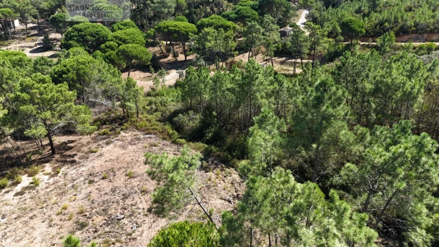 Terreno Misto para Venda em Sesimbra (Castelo) Foto 14