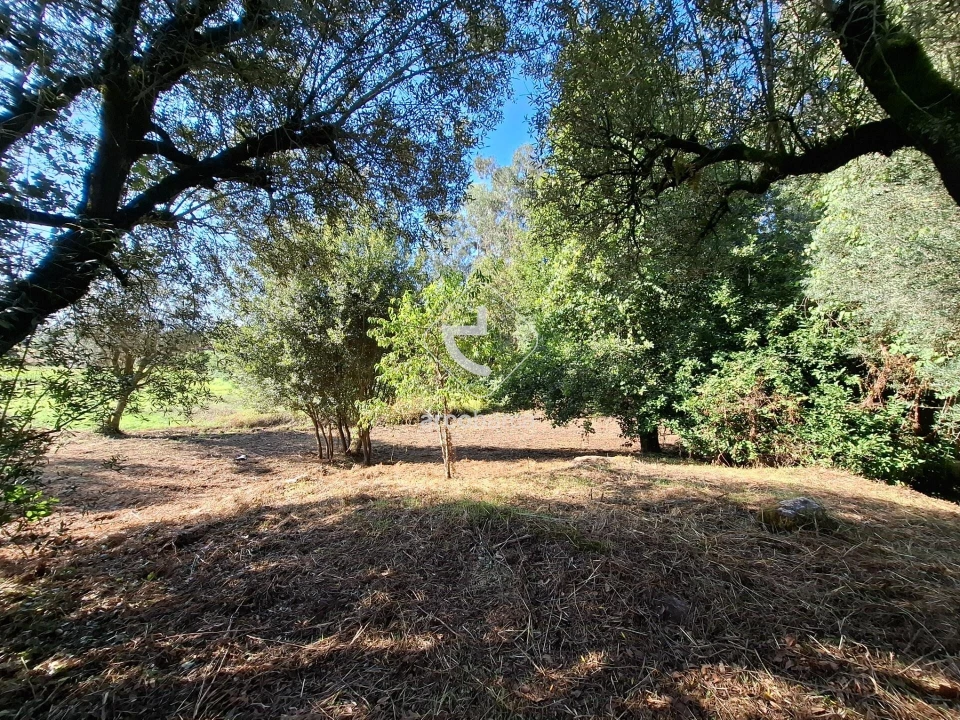 Quinta T3 para Venda em Arca e Ponte de Lima Foto 34