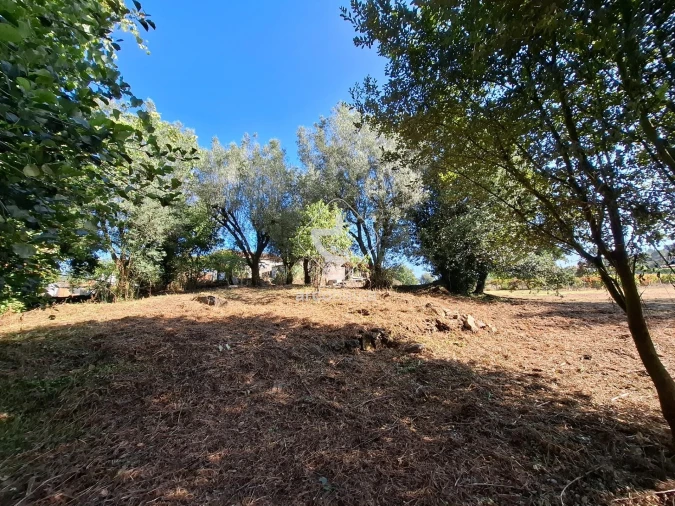 Quinta T3 para Venda em Arca e Ponte de Lima Foto 46