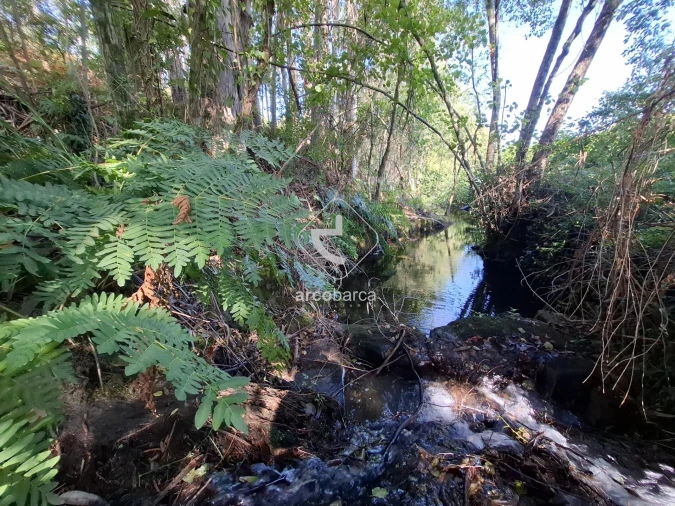 Quinta T3 para Venda em Arca e Ponte de Lima Foto 37