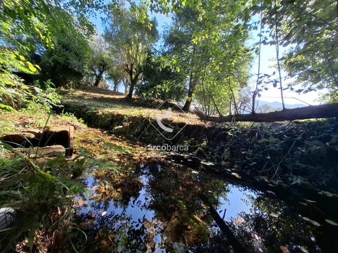 Quinta T3 para Venda em Arca e Ponte de Lima Foto 41