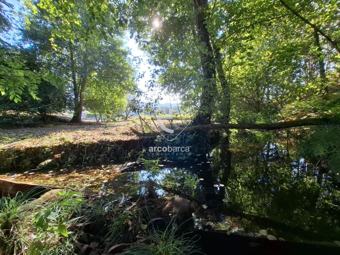 Quinta T3 para Venda em Arca e Ponte de Lima Foto 38