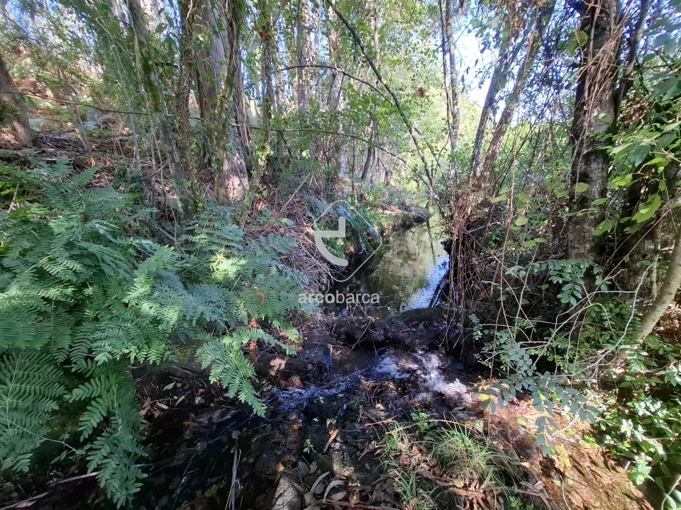 Quinta T3 para Venda em Arca e Ponte de Lima Foto 42