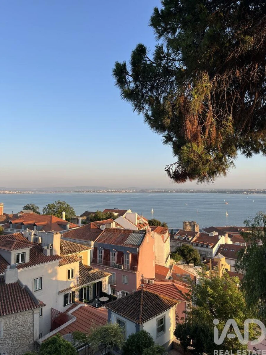 Apartamento para Venda em Santa Maria Maior Foto 16