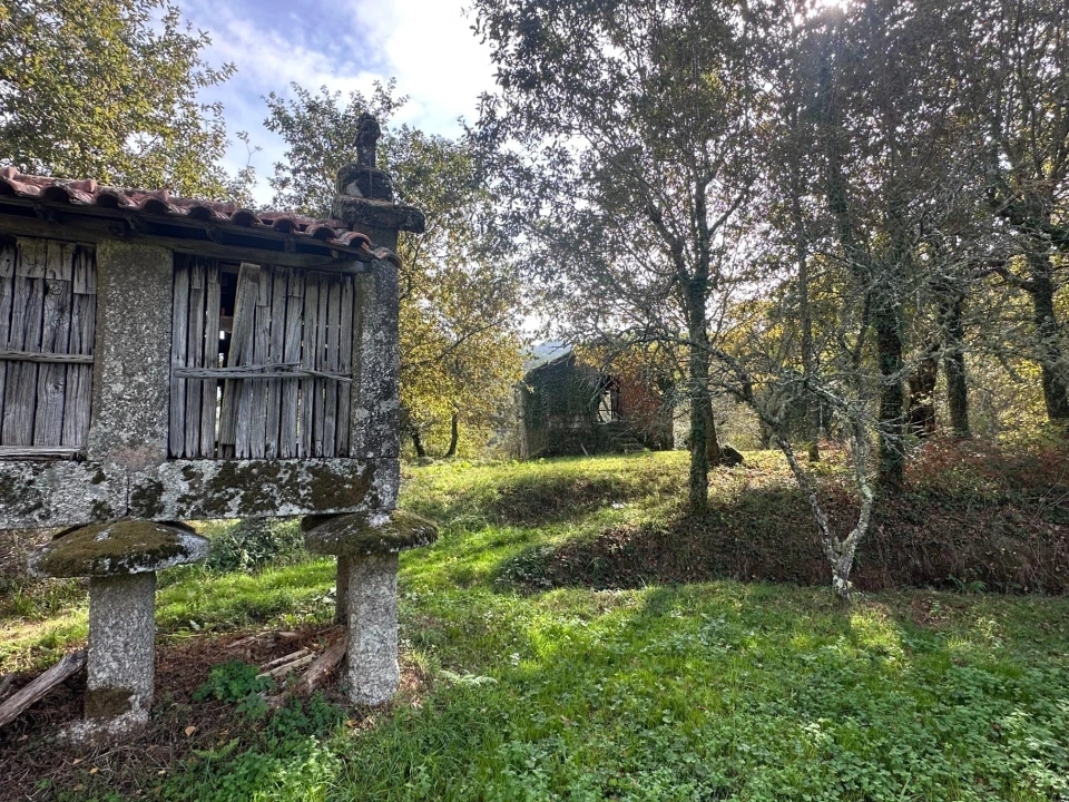 Quinta T1 para Venda em Gondoriz Foto 27