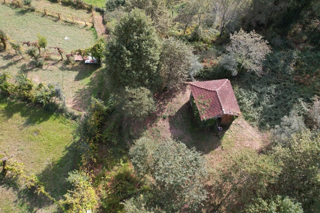 Quinta T1 para Venda em Gondoriz Foto 9