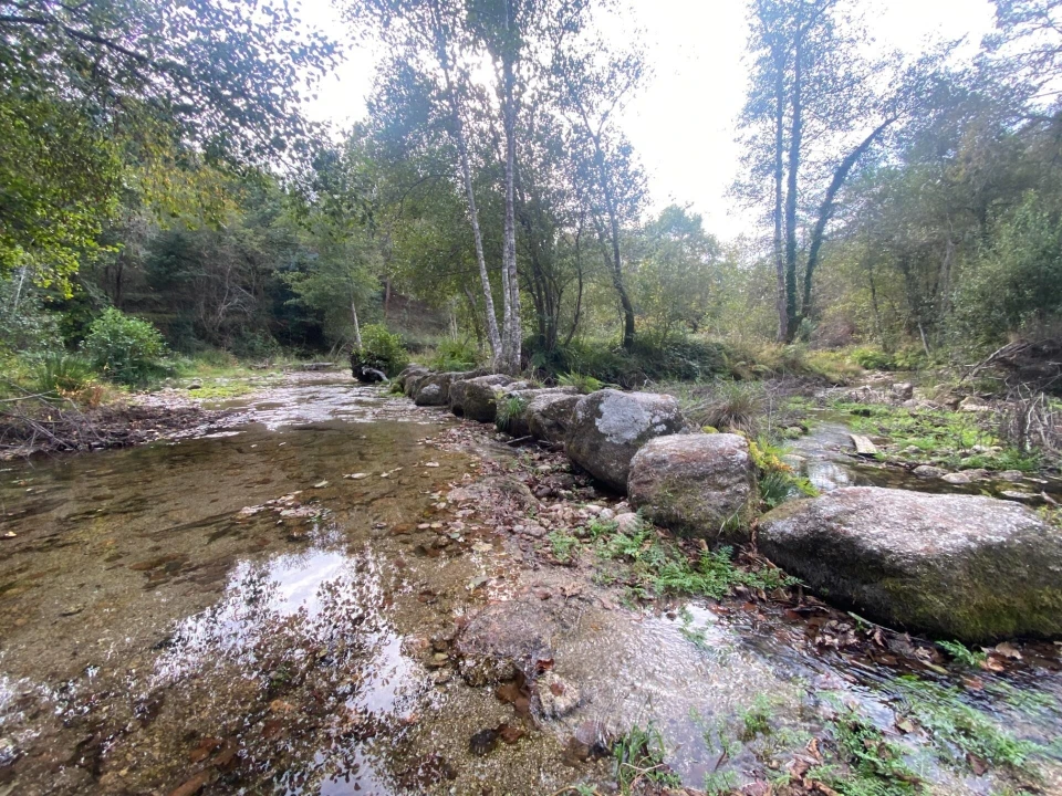 Quinta T1 para Venda em Gondoriz Foto 51