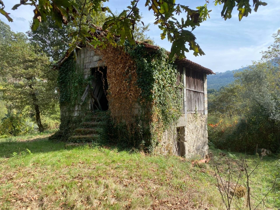 Quinta T1 para Venda em Gondoriz Foto 39