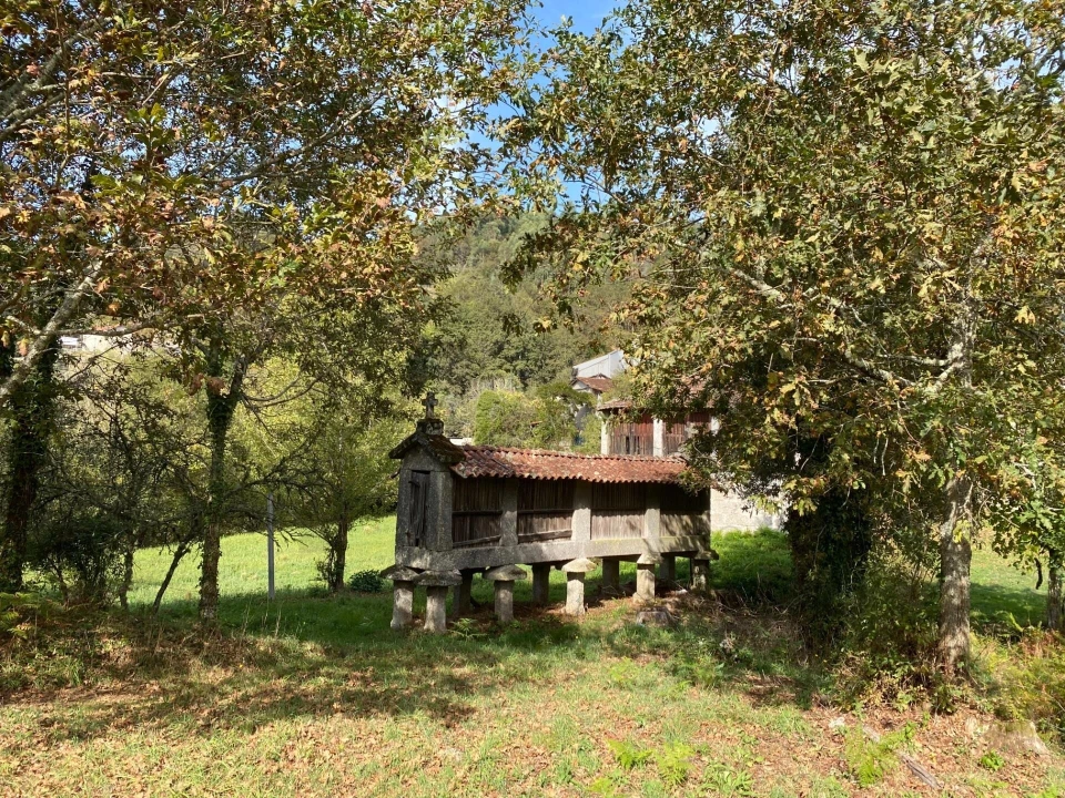 Quinta T1 para Venda em Gondoriz Foto 40