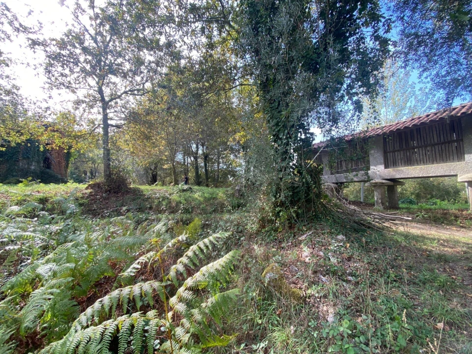 Quinta T1 para Venda em Gondoriz Foto 37