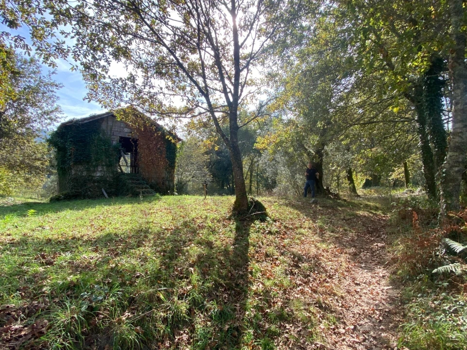 Quinta T1 para Venda em Gondoriz Foto 42