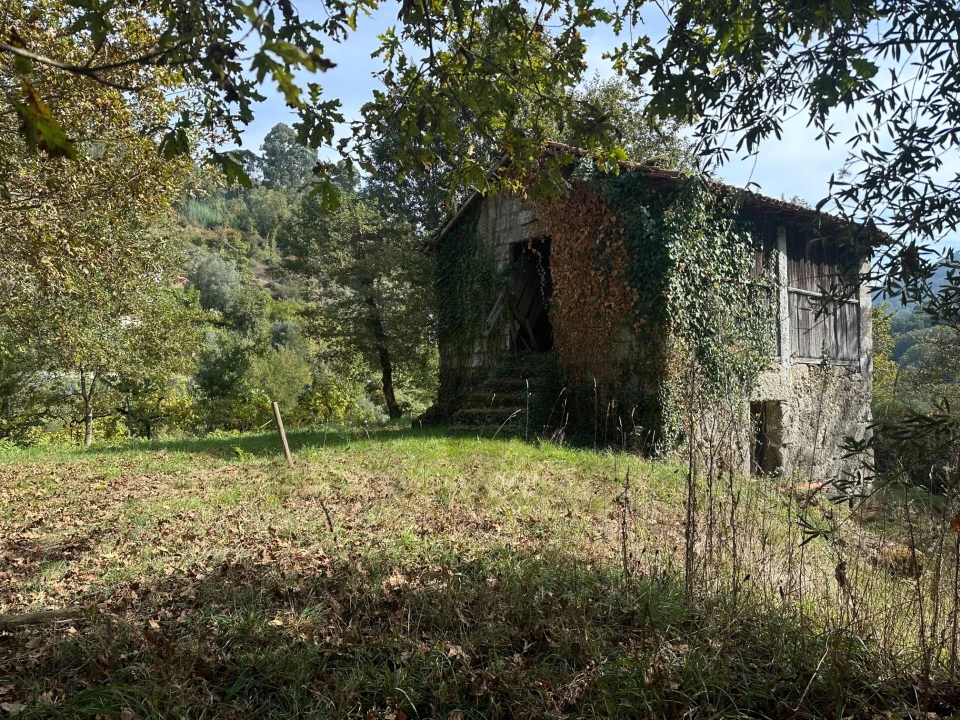 Quinta T1 para Venda em Gondoriz Foto 30