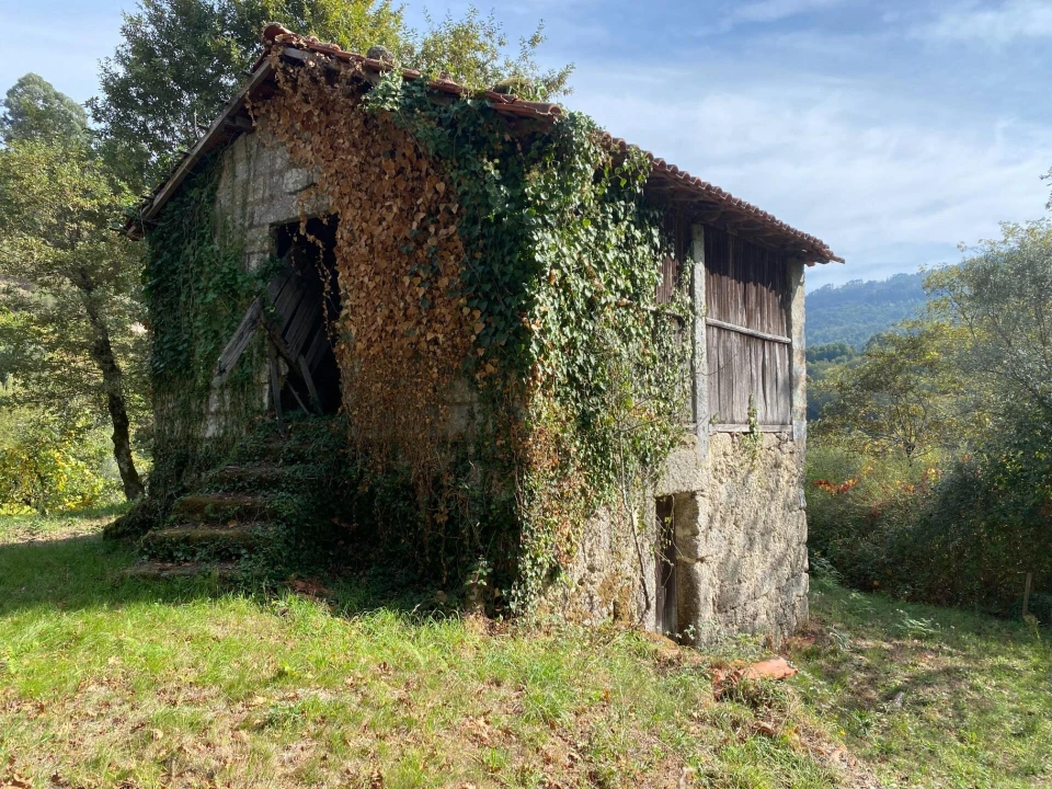 Quinta T1 para Venda em Gondoriz Foto 41