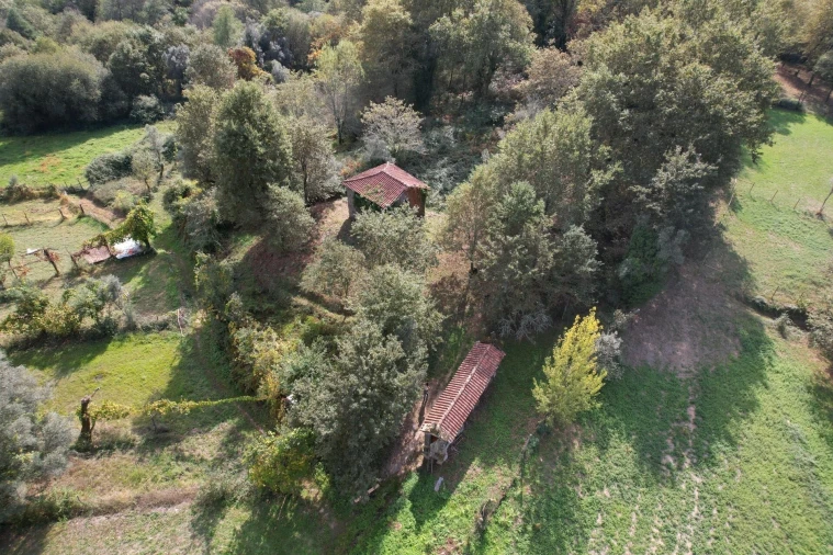 Quinta T1 para Venda em Gondoriz Foto 44