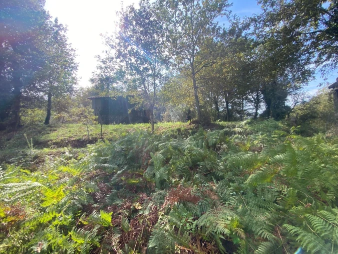 Quinta T1 para Venda em Gondoriz Foto 35