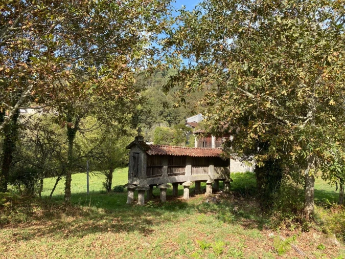 Quinta T1 para Venda em Gondoriz Foto 40