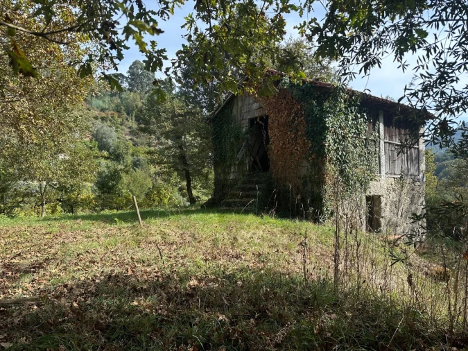 Quinta T1 para Venda em Gondoriz Foto 30