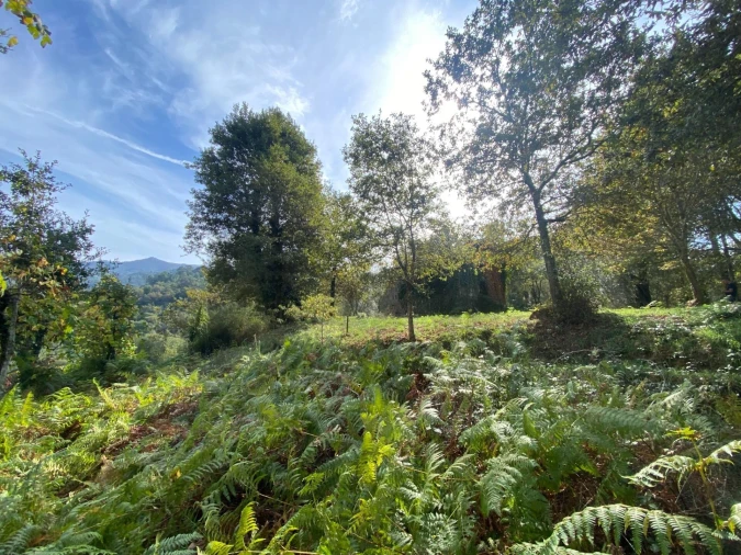 Quinta T1 para Venda em Gondoriz Foto 38