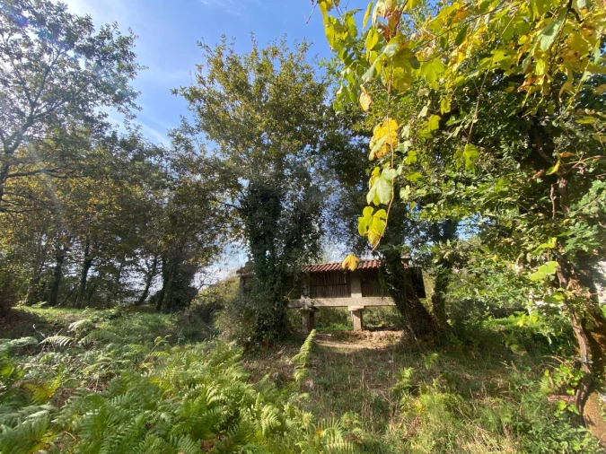 Quinta T1 para Venda em Gondoriz Foto 36