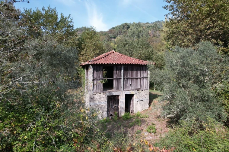 Quinta T1 para Venda em Gondoriz Foto 11