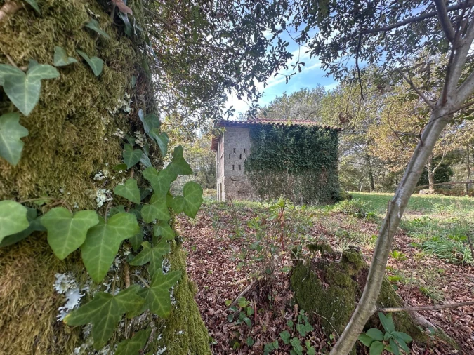 Quinta T1 para Venda em Gondoriz Foto 26