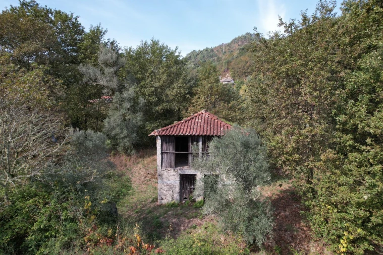 Quinta T1 para Venda em Gondoriz Foto 10