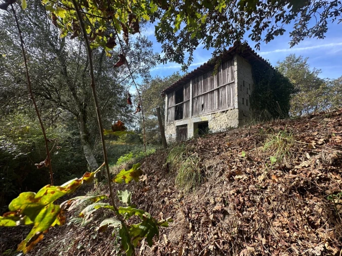 Quinta T1 para Venda em Gondoriz Foto 25