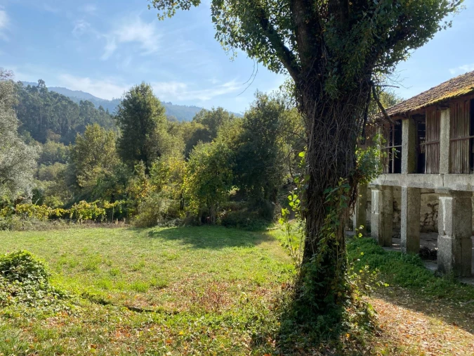 Quinta T1 para Venda em Gondoriz Foto 33