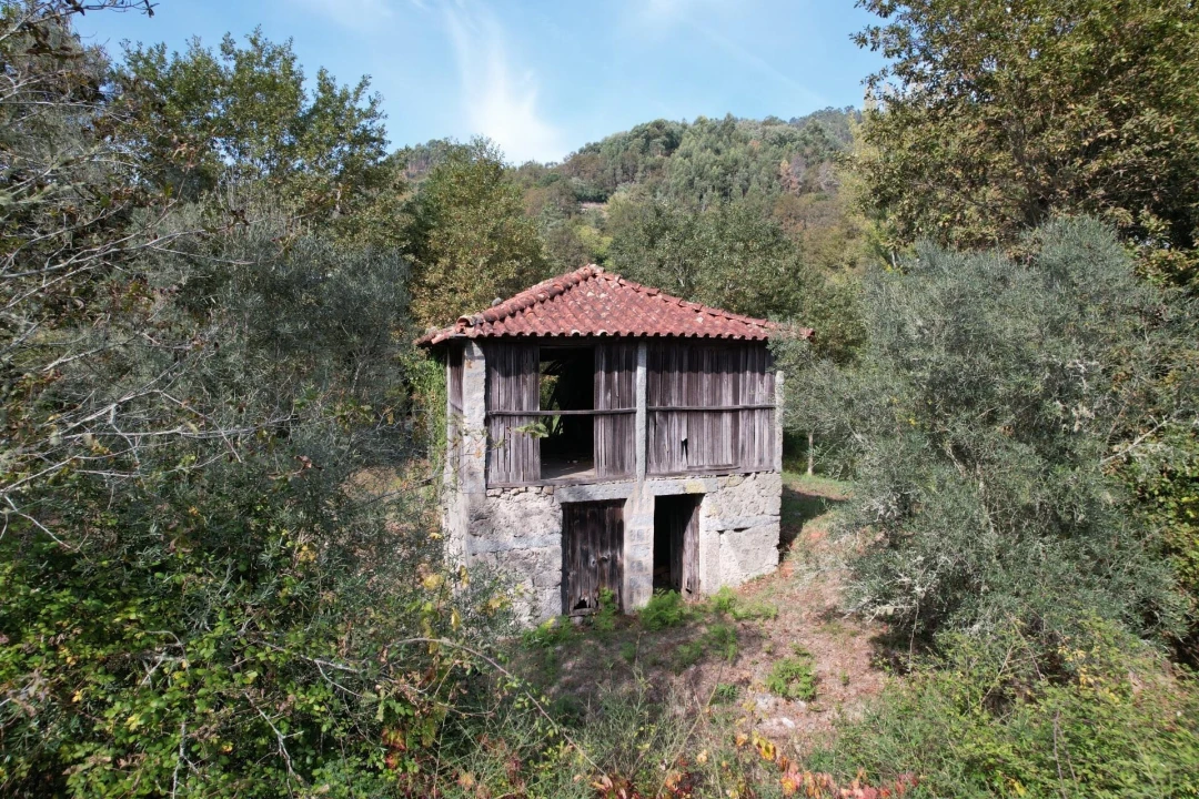 Quinta T1 para Venda em Gondoriz Foto 11