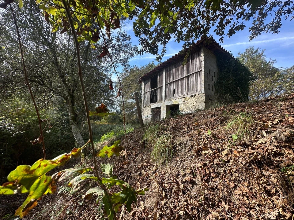 Quinta T1 para Venda em Gondoriz Foto 25