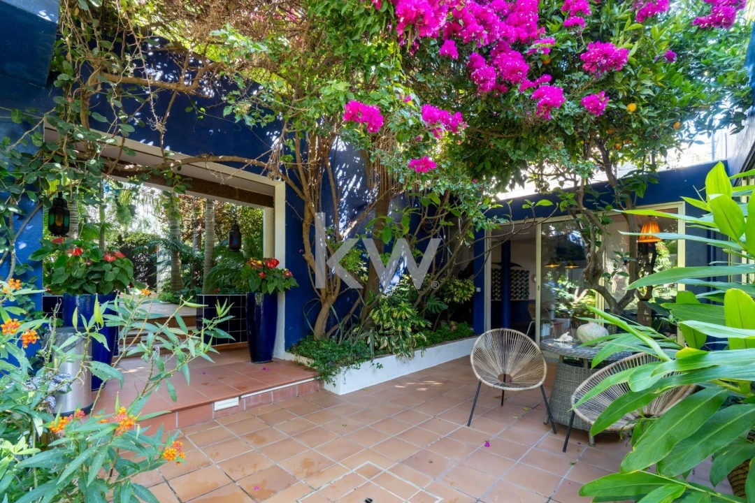 Quinta T14 para Venda em Mexilhoeira Grande Foto 4